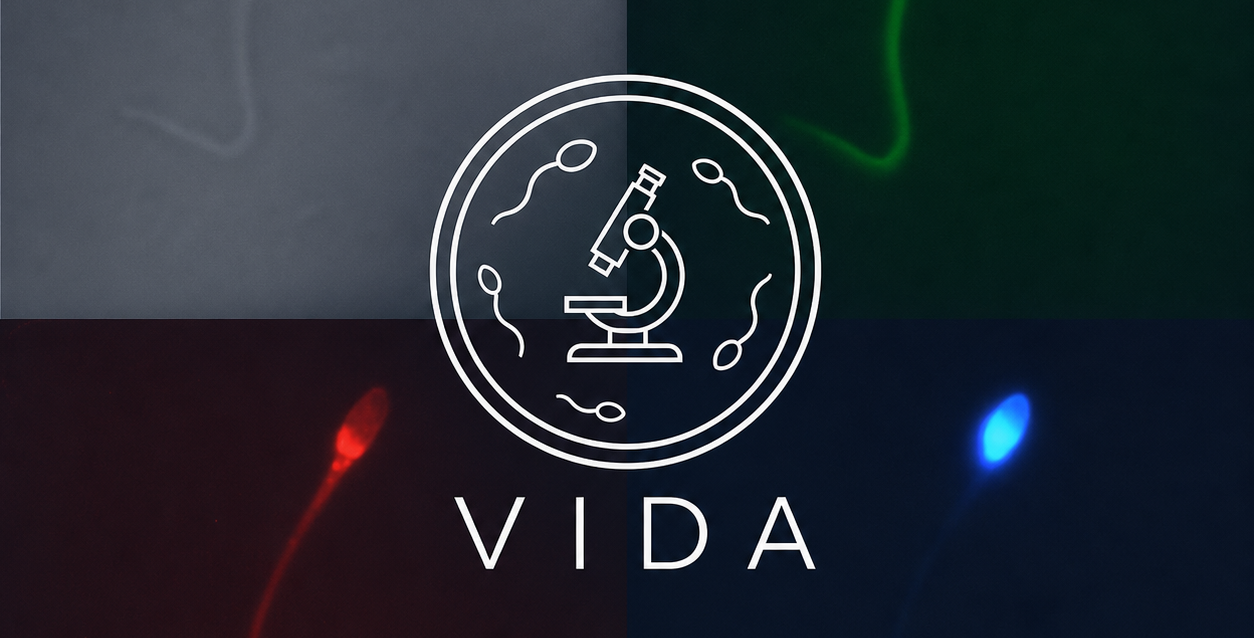 logo_vida logo_vida