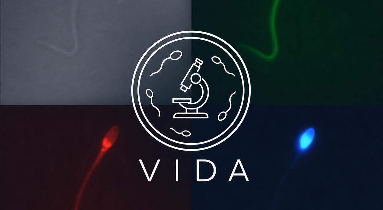 logo_vida