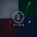 VIDA: Visión Inteligente para el Diagnóstico Andrológico